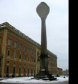 Resized Image