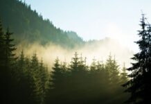 Trångt i babylon? Det finns alternativ! Artur visar vägen alternativ