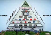 Tragedy and Hope: Det angloamerikanska etablissemanget Tragedy and Hope Catherine Austin Fitts eliten övervakningsteknologi Hela systemet