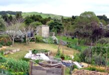 Permakultur – Odla med naturen med Sepp Holzer permakultur Permaculture