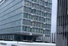 WHO kallade till förhör om svininfluensan WHO vaccinationsplan H5N1 svininfluensan fågelinfluensa