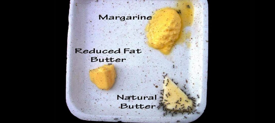 smör vs margarin