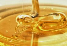 När antibiotika inte finns tillgängligt blir naturliga antimikrobiella ämnen ett avgörande förstalinjens försvar mot infektioner antibiotika Husmorskurer Manukahonung Home remedies work Honung: Ett fantastiskt superlivsmedel med många hälsofördelar populära honungssorter naturliga antimikrobiella ämnen