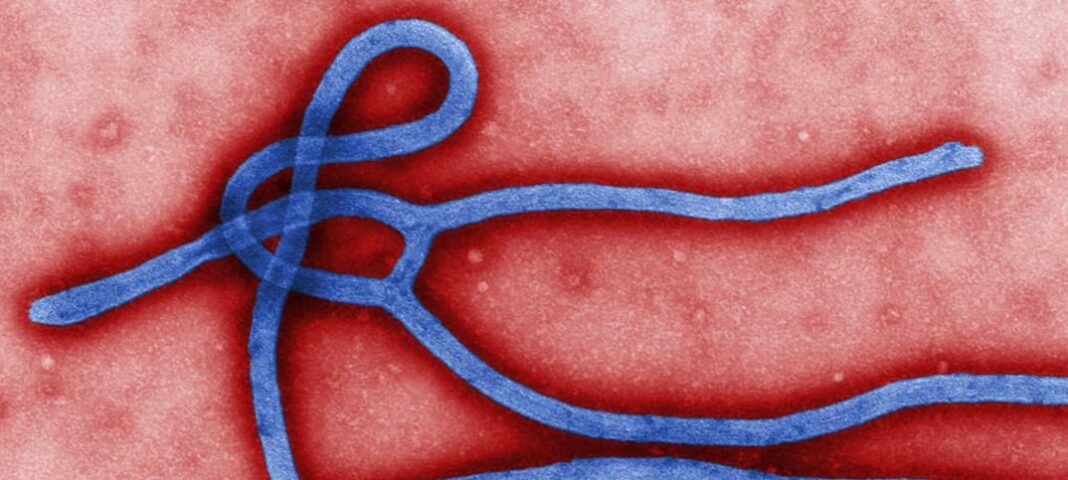 ebola-viruset Eboladramat