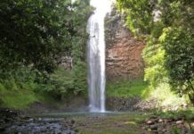 Finca Bayano finca bayano