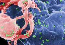 Alan Cantwell and Leonard Horowitz on the Origins of AIDS aids Alan Cantwell Origins of AIDS