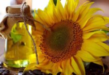 Linolsyra från fröoljor är den mest skadliga ingrediensen för din hälsa och ditt immunsystem Fröoljorna Vegetabiliska Linolsyra fröoljor människors hälsa increasing cancer incidence Lipoid acid