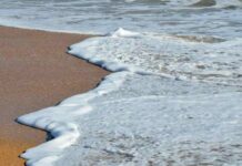 Historiskt sett var havsnivåerna mycket högre trots lägre CO2-nivåer, vilket motbevisar klimathysterin havsnivåerna mycket högre klimatalarmisterna har fel