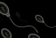 Kollapsande spermieantal signalerar en djup kris för mäns hälsa helt sterila svenska tjänstemän spermaproverna sperma-apokalypsen Kollapsande spermieantal