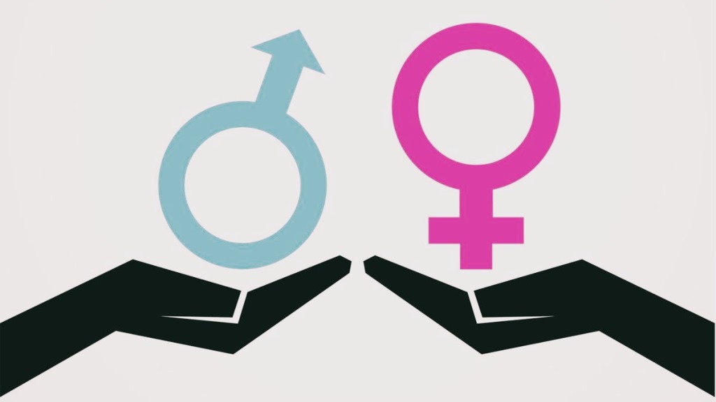 könsbyte transgenderism Hen irriterar könsidentitet JP Sears pubertetsblockerare till barn brittiska föräldrar könsstympningsindustrin könsalternativ agenda behind transgenderism