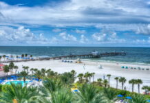 ”Makteliten hade fel om allt” – Florida räddade USA från covidtyranni restriktioner Makteliten hade fel