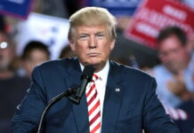 Trump släpper plan för att avveckla den djupa staten för gott och återge makten till det amerikanska folket måste betala Vi kan vinna Google och Twitter bondeuppror razzia mot Trump fredsuppdrag i Ukraina Folkets röst krigshetsare sinnessjuka globalister Ukrainakriget måste avveckla den djupa staten Zelenskyj vill fortsätta kriga pandemibehandlingsdata