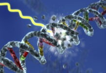 Cancerexplosionen och visselblåsaren på Ericsson neurologiska effekter visselblåsaren på Ericsson