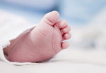 Larm om minskningen av antalet födda Chockerande statistik Rekordfå barn Barnafödandet rasar spädbarnsdödlighet födelsetal i Sverige birth rates in Sweden födslar minskade på Island sjuka förlossningsvården summerade fruktsamheten För tidigt födda hjärtfel hos nyfödda