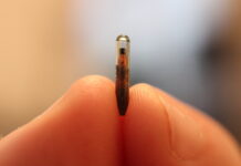 World Economic Forums “solida skäl” att mikrochippa barn – De ska bli “superhjältar” superhjältar