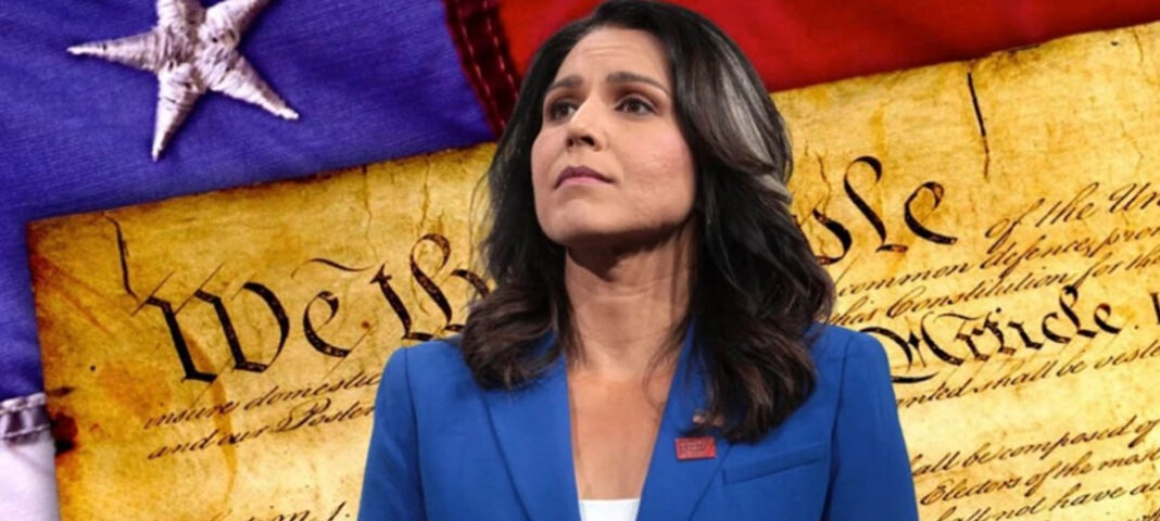 eliten styr demokraterna