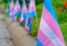 Professor: ”Exceptionellt ovanligt med transsexualism innan 2013” våld mot transsexuella transsexualism