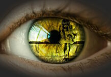 Är ett mänskligt liv i Sverige mer värdefull än ett soffset? förstående mänskligt liv i Sverige