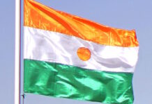 Bakslag för väst efter kuppen i Niger enligt FOI – varnar för ”konspirationsteorier” enligt FOI