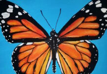 Traumabaserad Sinneskontroll Traumabaserad Sinneskontroll