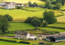 Brittiska bönder stormar Westminster efter att regeringen svikit dem Walesiska bönder förstöra matgrödor