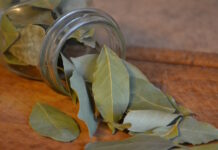 Lagerblad: En köksklassiker med en rad hälsofördelar köksklassiker