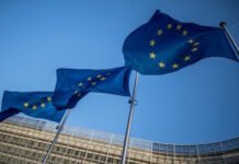 EU vill förbjuda sociala medier för barn under 13 år rörelser mot Muslimska Brödraskapet förbjuda sociala medier