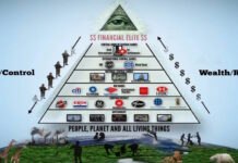 Catherine Austin Fitts on ”Mr. Global” and the corrupt system that rules Mr. Global